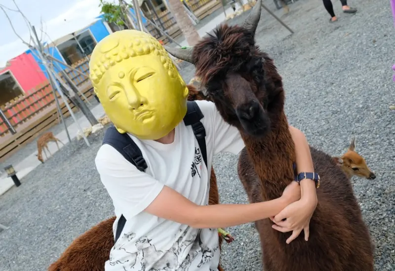 屏東景點︳墾草趣生態園-墾丁親子景點推薦，餵食梅花鹿草泥馬等動物新墾丁景點 - 金大佛的奪門而出家網誌