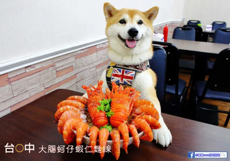 【食。桃園】台中楊大腸蚵仔蝦仁麵線-桃園中正店〜台南超浮誇「痛風系龍蝦麵線」來桃園啦！天使紅蝦鋪滿滿，不吃對不起自己的胃