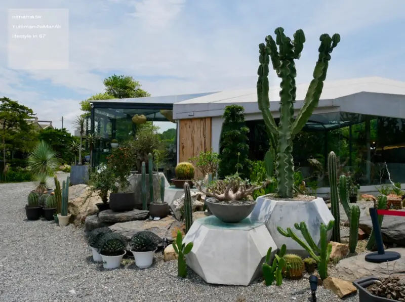 彰化景點：酉Succulent & Artwork、漂亮的雲朵玻璃屋