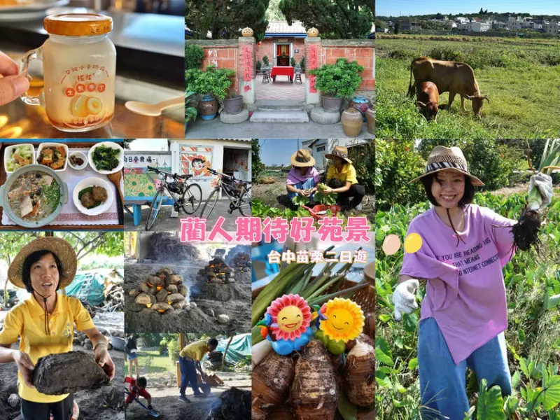 【藺人期待好苑景】台中大甲向日葵農場田園生活/苗栗苑裡東里家風百年古厝住宿旅行/雲豹單車預約取車/朵妮小手烘焙伴手禮/山腳國小日治後期宿舍群/二日遊懶人包。