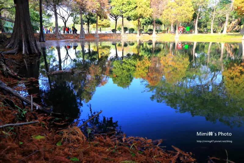 【台南景點】東區．巴克禮公園：屬於台南的落羽松，紅了!! 享受充滿秋冬氣息的北國風情，很喜歡~