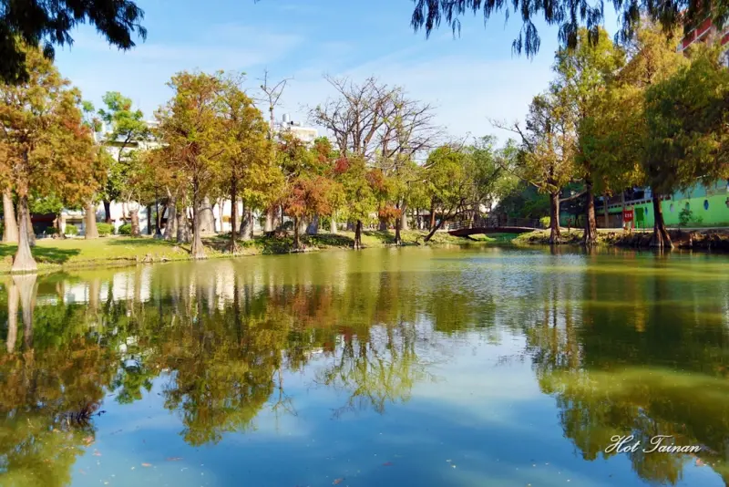 【台南東區】宛如置身於國外的美妙風景！藏於市區內的落羽松小秘境：巴克禮紀念公園
