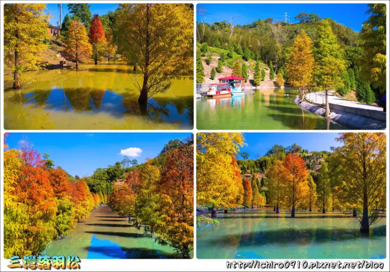 [遊記]【苗栗縣三灣鄉】2018三灣落羽松絕美秘境。台三線101K新景點「湖中落羽松」│免門票賞三百多棵落羽松│FB.IG熱門打卡景點│季節限定美景│怎麼去如何去/交通/停車/座標導航/地點/現況