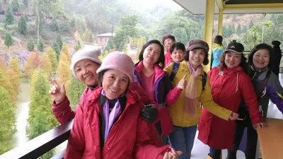 苗栗三灣落羽松˙新建3F觀景台˙雨中賞景別有詩情畫意