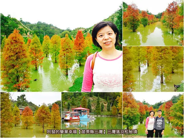 ﹝苗栗縣三灣遊記﹞三灣落羽松秘境　秋冬限定版！山林內紅黃綠漸層絕美，與水中倒影夢幻的落羽松秘境（11/18）　／苗栗免費新景點／IG打卡新秘境