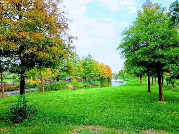 【游家農場落羽松步道】離宜蘭巿區最近的落羽松步道/小而美的落羽松秘境/跟著宜大學生吃美食/宜蘭一日輕旅行