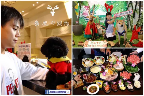 【食。台中】麋鹿の鍋物〜親子寵物友善火鍋店，多種風味湯底，海陸套餐一次滿足，帶你的毛小孩吃鍋吧！