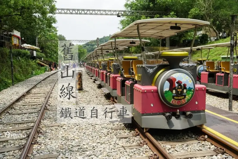 騎鐵道自行車 半空賞桐花 現在正美