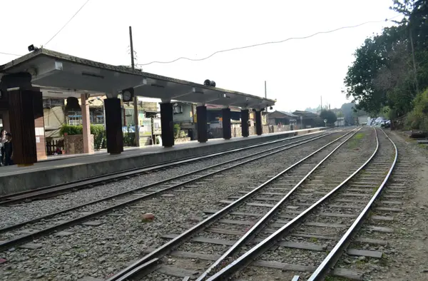 【嘉義阿里山】《奮起福お米燒菓子》有機米餅/黃金米磚 山城裡的幸福味