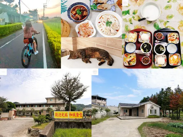 【苗栗住宿】和風民宿&食堂 | 落羽松民宿！豐盛的客家風味早餐