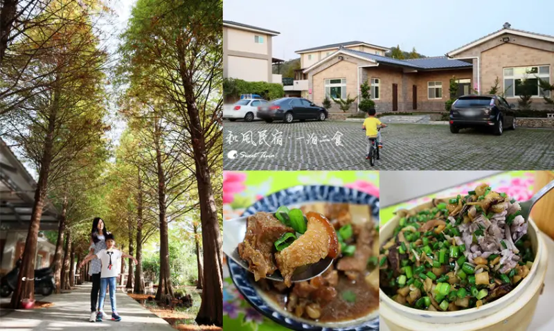 【苗栗公館住宿】和風民宿&食堂 - 一泊二食 / 咖啡烘豆體驗 / 客家風味 / 享受田園風光 / 落羽松廊道 / 親子旅遊