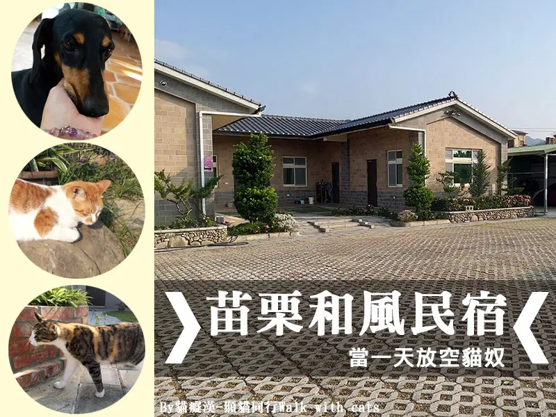 苗栗公館住宿 - 和風民宿&食堂，客家風味，落羽松民宿