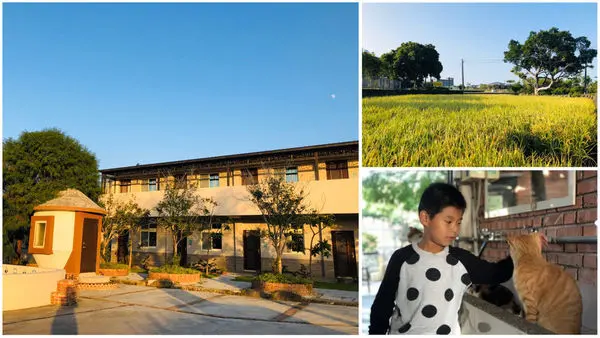 圓圓家睡外面-<苗栗公館住宿>浪漫的落羽松民宿，彷彿回到阿嬤家的和風民宿&食堂，還有客家風味餐一泊二食來去鄉下住一晚