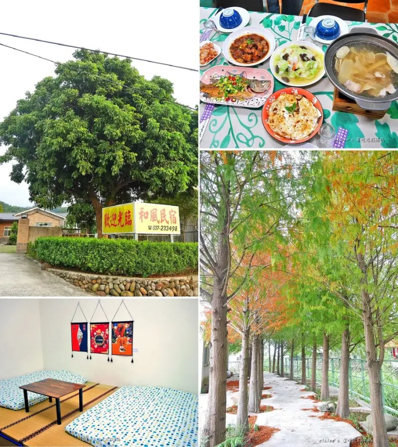 吃住。苗栗公館住宿《和風民宿&食堂》一泊二食品嚐道地客家風味餐點，還可以看到美麗落羽松的民宿