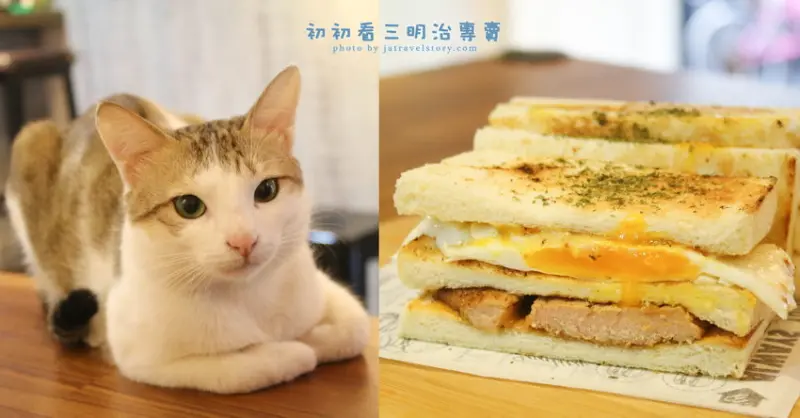 初初看三明治 可愛店貓陪你度過用餐時光