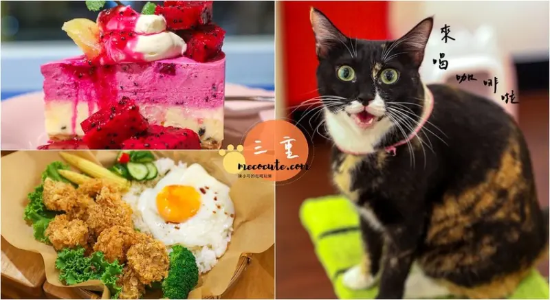 巷弄賣著好吃蛋糕！點杯咖啡還有貓店長相伴～邪惡半熟蛋餐點好吃也別錯過（寵物友善店家餓貓等一下 CAFE）