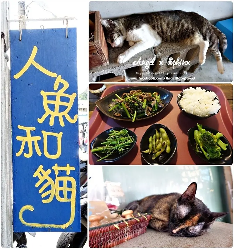 「蘭嶼」有貓我就推 ❤ 人魚和貓風味簡餐廳