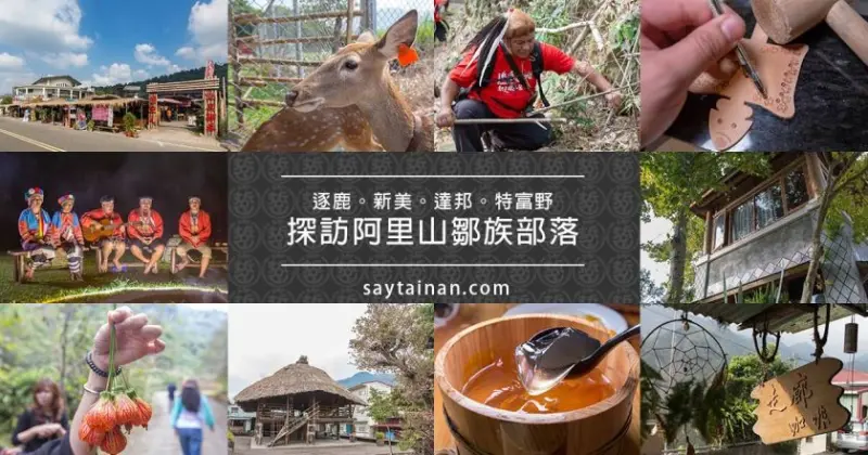 走進阿里山，喝冠軍咖啡，吃野生愛玉， 嚐鄒族風味餐，跟著老莫探訪逐鹿、新美、達邦與特富野等鄒族四大主題部落 - 老莫 Say台南