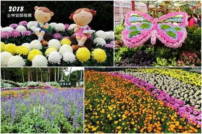 台北免費景點 ▶ 2018士林官邸菊展 ▶ 免費好拍! 非洲草原、夏威夷風情、阿里山森林小火車 一起來菊世遨遊美拍打卡吧! 2018菊展資訊、菊展時間及交通方式