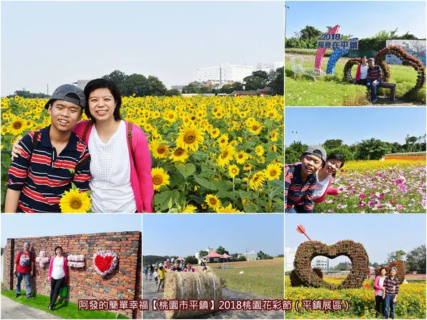 ﹝桃園市平鎮遊記﹞2018桃園花彩節（平鎮展區）　2.5公頃繽紛美輪美奐的向日葵、大波斯菊、百日草花海，相戀在平鎮～（詳細攻略版）　／期間限定／很好拍的網美打卡景點／免費參觀