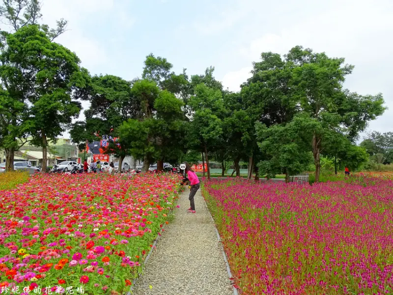 【桃園-八德區】花舞霄裡HAKKA進行曲花海綻放中｜親子景點｜共融式兒童遊戲區