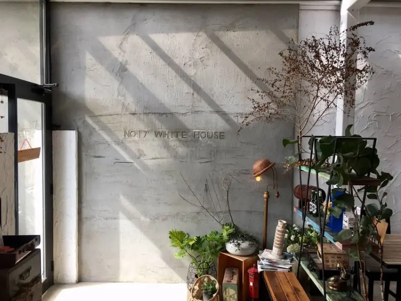 桃園 中壢 No.17 White House 白屋，都市靜巷內光影著墨的一抹白綠