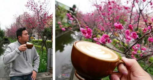 【藝文特區美食】桃園市區就可以賞櫻喝咖啡《紅果子寶慶2店》假日還可以順便吃早午餐