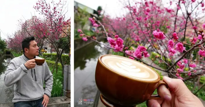 【藝文特區美食】桃園市區就可以賞櫻喝咖啡《紅果子寶慶2店》假日還可以順便吃早午餐