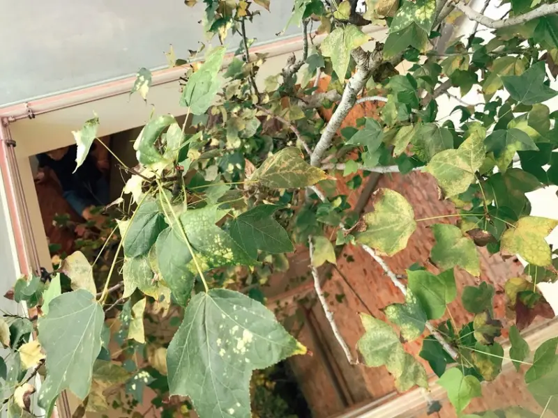 【台中 南屯】漂浮感茶館吃茶三千台灣概念店  傳統茶也能融入手搖杯