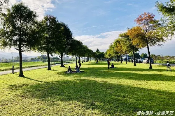 [宜蘭落羽松秘境] 三星 - 安農溪落羽松 ~ 安農溪畔兩排美麗落羽松，秋冬限定美景