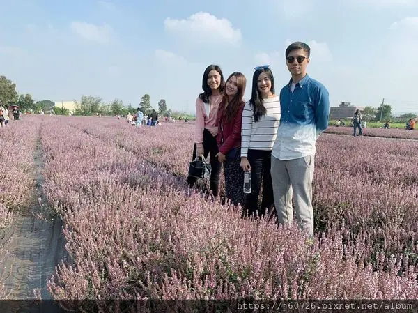 【桃園/楊梅】桃園花彩節★台灣版普羅旺斯，不用去歐洲也能看到紫色花簇，它們是仙草花海不是薰衣草~(IG打卡熱點-紫色風暴你淪陷了沒XD)