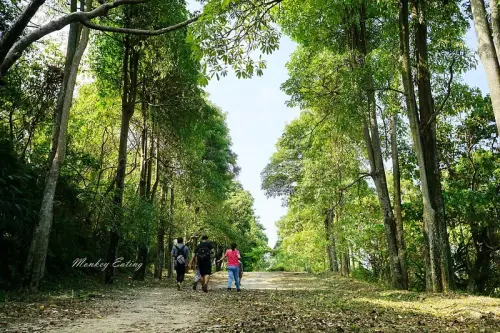 【台中太平三汀山】編號43小百岳，挑戰咬人狗坑第一步道好漢坡，台中太平景點推薦