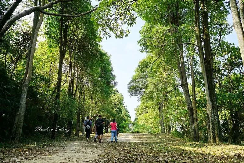 【台中太平三汀山】編號43小百岳，挑戰咬人狗坑第一步道好漢坡，台中太平景點推薦