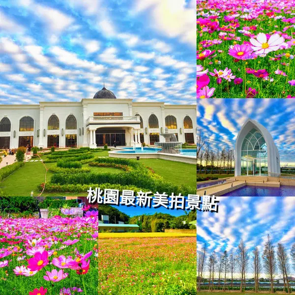 【皇家薇庭婚宴會館/桃林鐵馬道/G10貨櫃巿集/楓樹坑波斯菊花海】桃園美拍新景點/跟著在地人就醬玩桃園