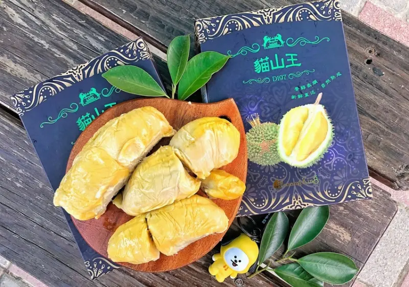【 馬來西亞 ‧ 宅配 】水果之王頂級貓山王榴槤D197 40年以上老欉自然熟成的迷人滋味
