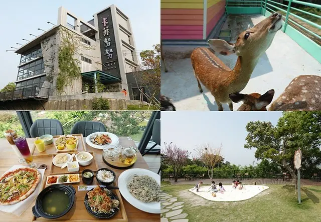 《新竹竹東親子餐廳》卡菲努努景觀餐廳～異國美食餐點豐盛，可餵食梅花鹿／好玩的沙坑／草皮跑跳／美麗夜景，友善親子