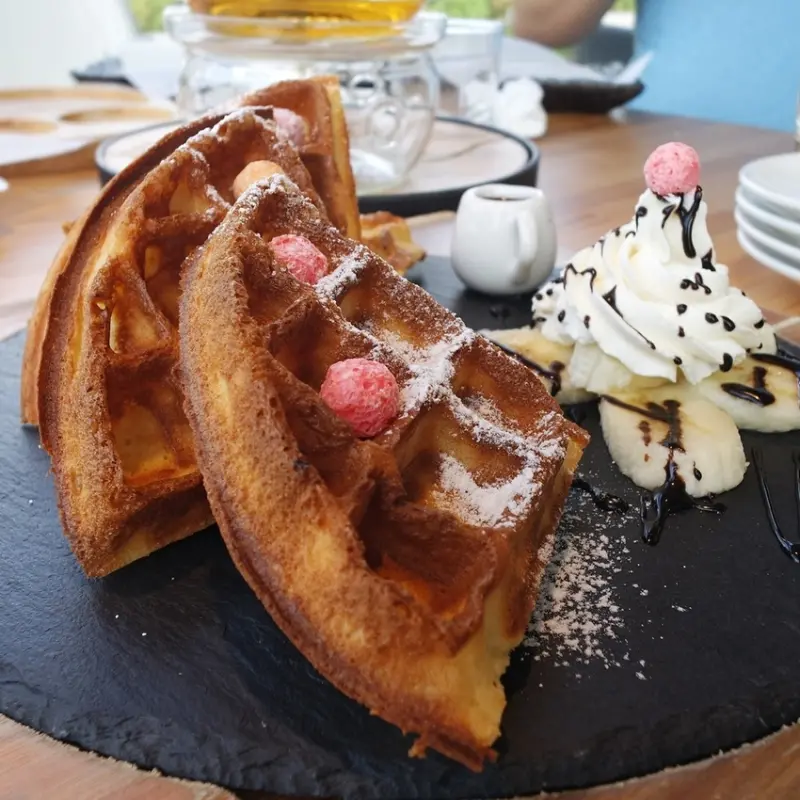 【好食分享】新竹竹東卡菲努努景觀餐廳,寵物友善,辦公、聚餐、下午茶、咖啡,打卡景點推薦