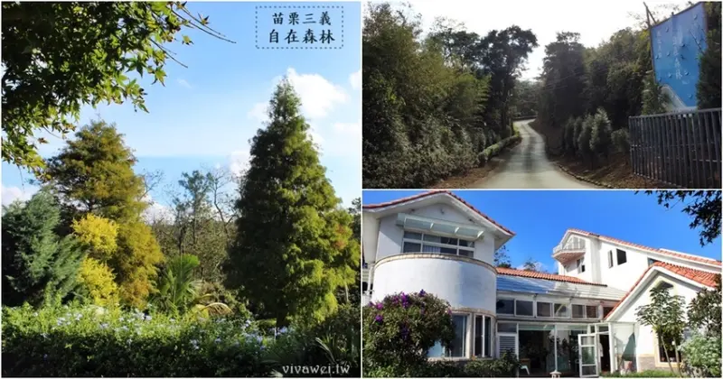 苗栗三義農地推薦｜『自在森林農地』買一塊地擁有一座山~在國際慢城享受大自然之美!