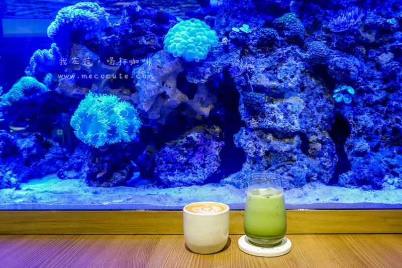 有大魚缸的咖啡館，瑞帛咖啡Rebirth Coffee～台北咖啡廳推薦