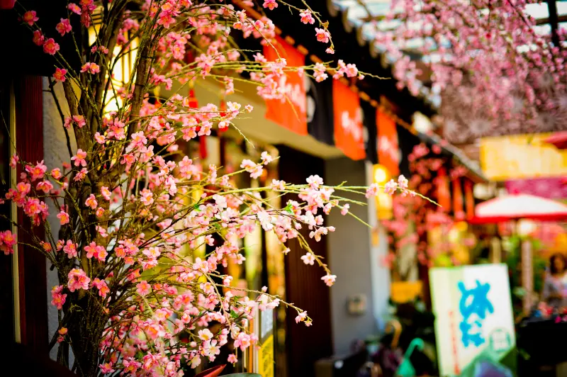 【土城】很日本的手信坊文化形象館