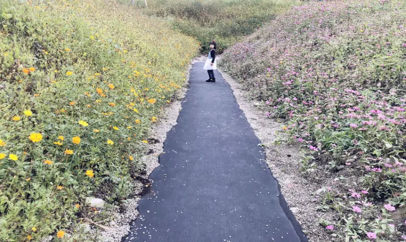 台中新景點>>熊熊祕境 ♥ IG網美照✔ 遛小孩✔ 期間限定小花海✔