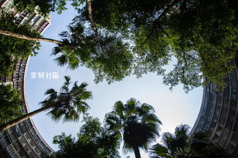｜高雄景點｜果貿社區，IG打卡熱門景點，類窩居特色建築具有高雄小香港之稱 - 阿婷的旅行札記。