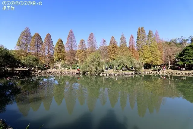 2021新竹北埔六塘石柿餅｜美奐倒影落羽松｜老街粄條｜北埔老街一遊～