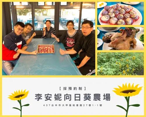 【苑裡火車站】台中大甲李安妮農場／向日葵🌻｜品嚐道地農場美食🍗、DIY芋頭酥