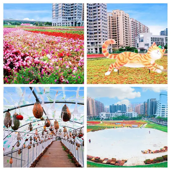 【淡水輕軌/幾米主題公園】2019淡水最新景點/與幾米吃美食看花海逛公園趣旅行/享受新北稼日蒔光