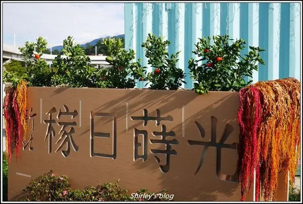 淡水．新北稼日蒔光(輕軌淡水行政中心站)、幾米公車站