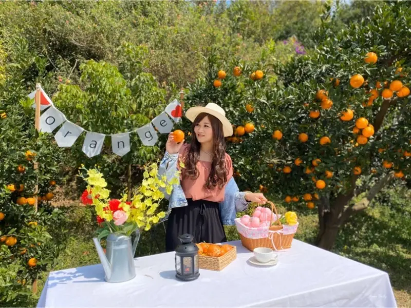 | 苗栗 | IG超人氣必拍景點/不用飛濟州島也有可愛的橘子園/超Ｑ景點橙香森林