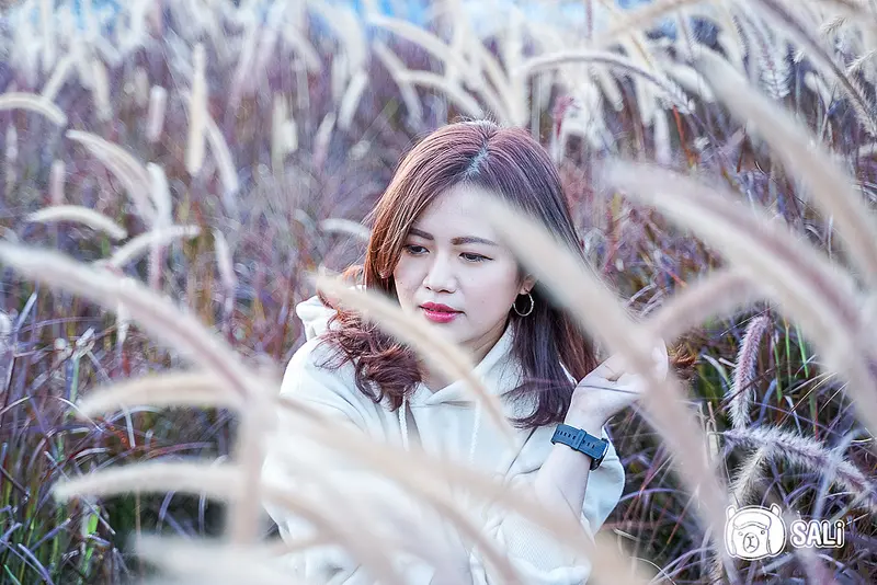 台中花博 大里區城市綠廊｜大里IG超夯景點，康橋河畔旁有超唯美的紫色狼尾草，宛如韓劇場景（靠近積善公園）