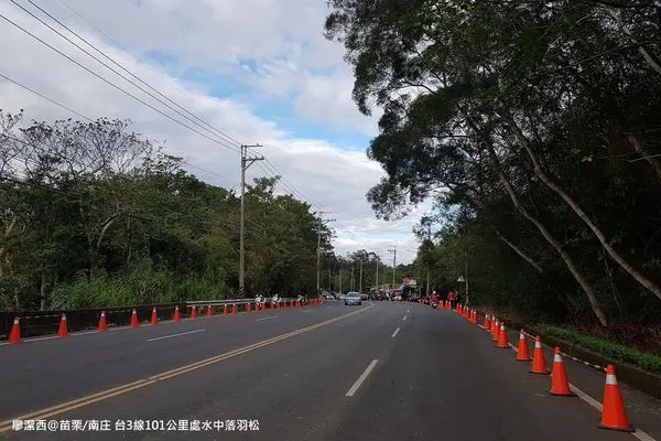 【苗栗/南庄】台3線省道101公里處的水中唯美落羽松