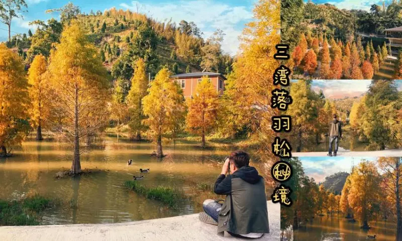【苗栗景點】三灣落雨松秘境。台三線必訪絕美景點，IG打卡景點！(免費入場) - 阿華田的美食日記